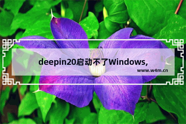 deepin20启动不了Windows,deepin20重启进不去