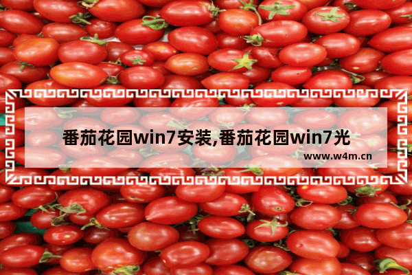 番茄花园win7安装,番茄花园win7光盘安装教程