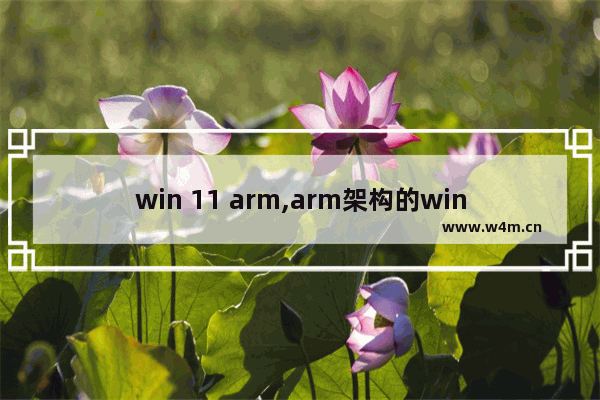 win 11 arm,arm架构的windows10