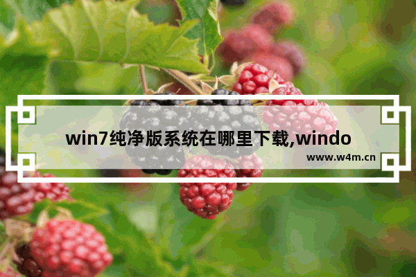 win7纯净版系统在哪里下载,windows7纯净版在哪下载