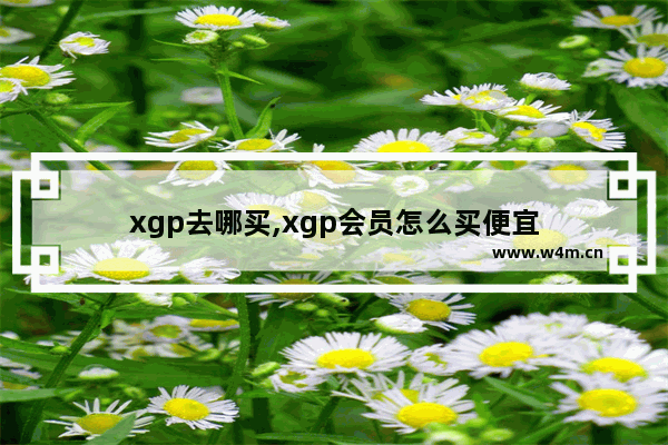 xgp去哪买,xgp会员怎么买便宜