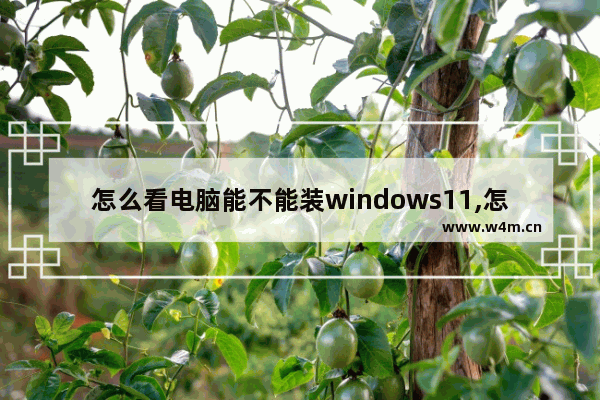 怎么看电脑能不能装windows11,怎么知道电脑能不能安装win11