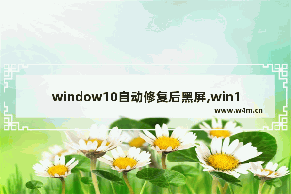 window10自动修复后黑屏,win10系统自动修复后黑屏