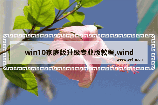 win10家庭版升级专业版教程,windows10家庭版升级win11