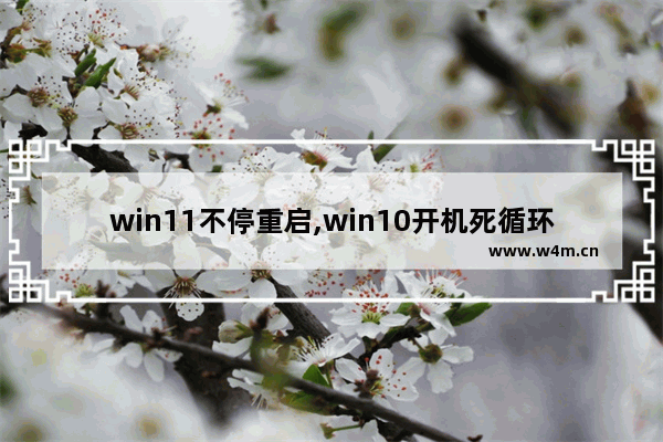 win11不停重启,win10开机死循环重启