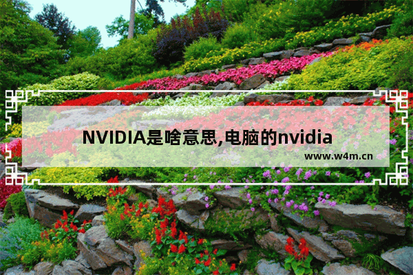 NVIDIA是啥意思,电脑的nvidia是干嘛的