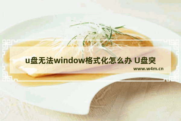 u盘无法window格式化怎么办 U盘突然变成只读模式，如何解决？