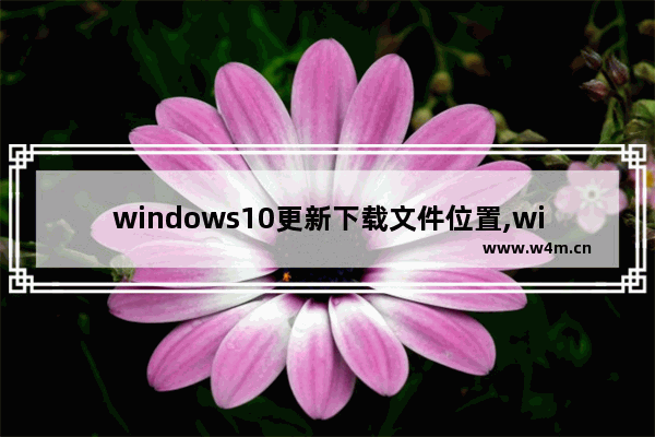 windows10更新下载文件位置,windows11下载完的文件在哪里