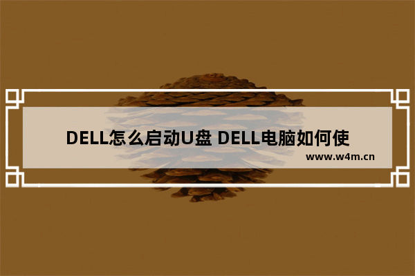 DELL怎么启动U盘 DELL电脑如何使用U盘启动