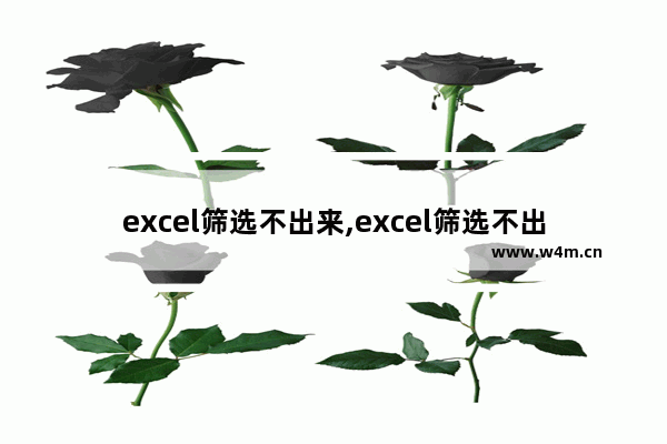 excel筛选不出来,excel筛选不出来是什么原因