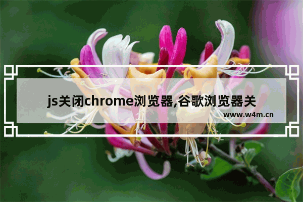 js关闭chrome浏览器,谷歌浏览器关闭当前页面js