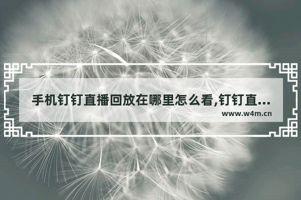 手机钉钉直播回放在哪里怎么看,钉钉直播回放在哪里怎么看苹果