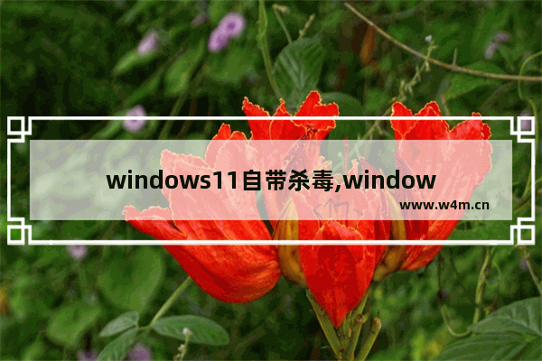 windows11自带杀毒,windows10自带杀毒软件在哪