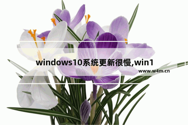 windows10系统更新很慢,win10更新速度特别慢