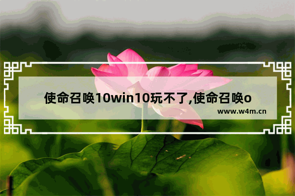 使命召唤10win10玩不了,使命召唤olwin10玩不了