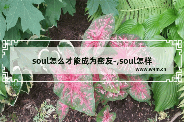 soul怎么才能成为密友-,soul怎样能成为密友