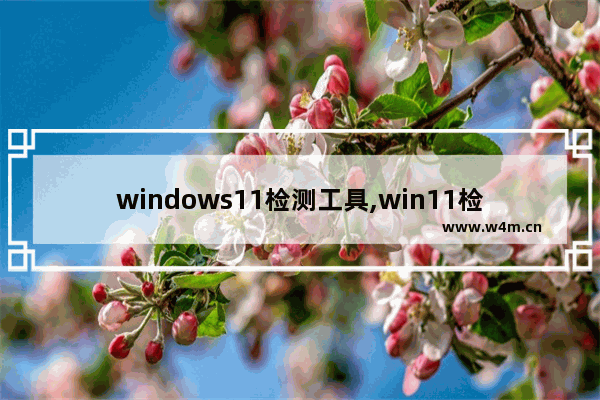 windows11检测工具,win11检测器_1