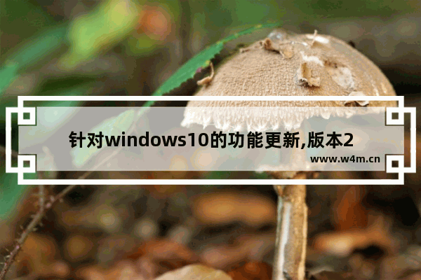 针对windows10的功能更新,版本21H2,win1021H2更新