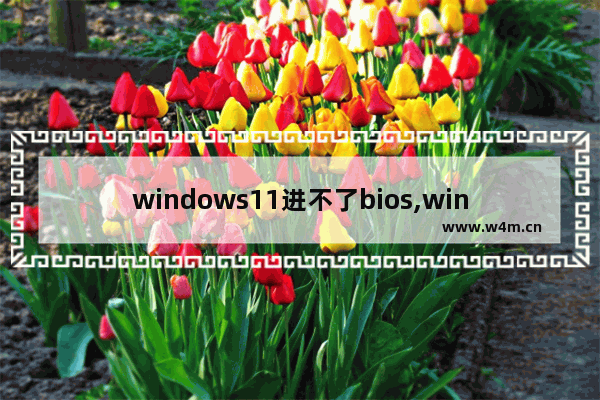 windows11进不了bios,windows10怎么进入bios