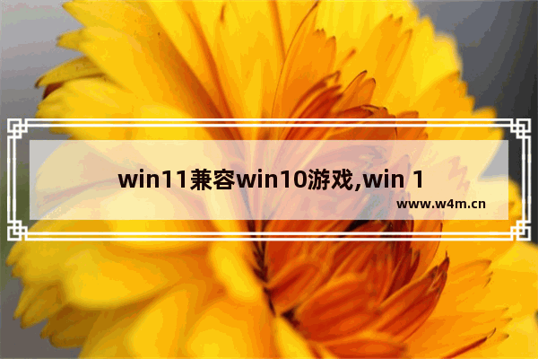 win11兼容win10游戏,win 11 兼容性