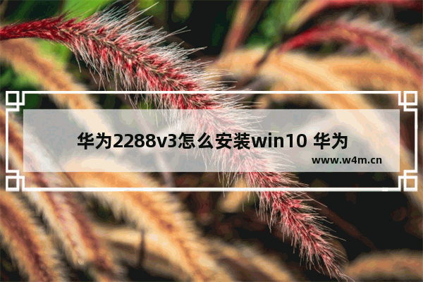 华为2288v3怎么安装win10 华为2288v3如何安装Windows 10