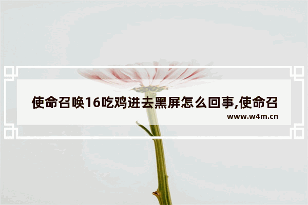 使命召唤16吃鸡进去黑屏怎么回事,使命召唤16有吃鸡模式吗