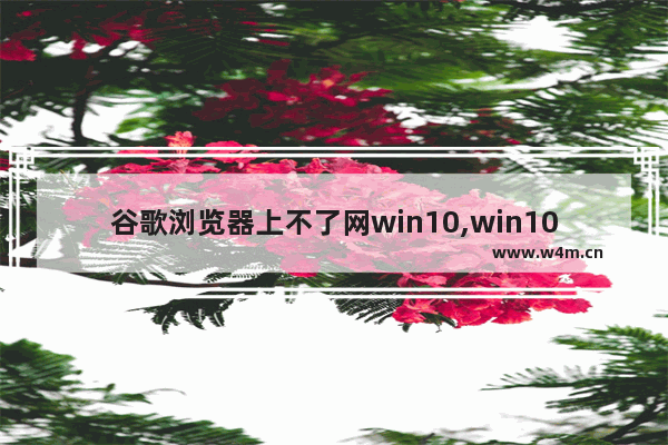 谷歌浏览器上不了网win10,win10谷歌浏览器无法访问此网站怎么解决