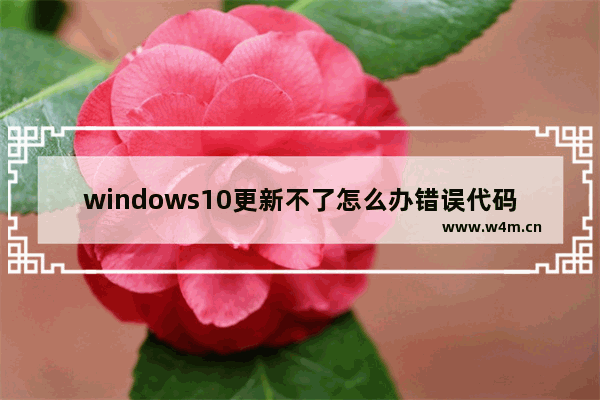 windows10更新不了怎么办错误代码0x8007002,win10更新错误0x800f0922