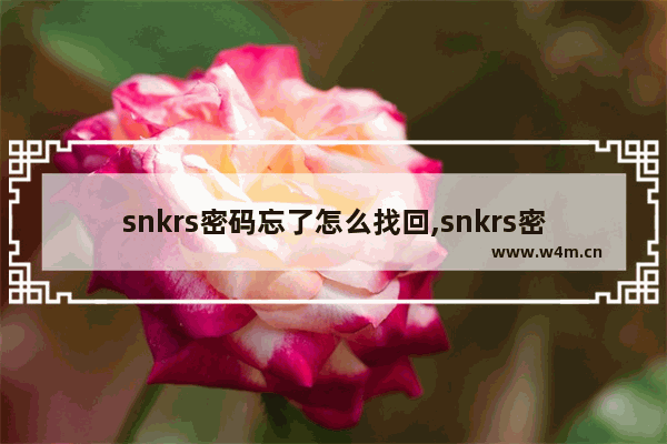 snkrs密码忘了怎么找回,snkrs密码怎么找回