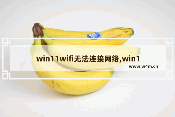 win11wifi无法连接网络,win11wifi用不了