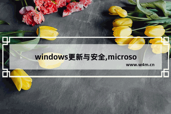 windows更新与安全,microsoftwindows的安全更新