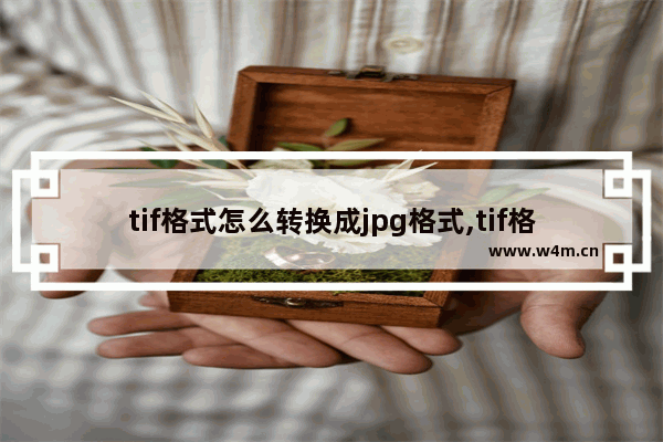 tif格式怎么转换成jpg格式,tif格式怎么转换成jpg手机