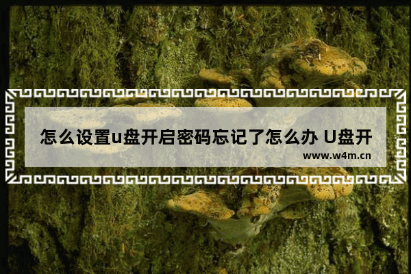 怎么设置u盘开启密码忘记了怎么办 U盘开启密码忘记怎么办？