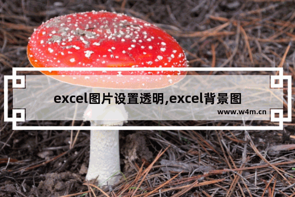 excel图片设置透明,excel背景图片透明度调整