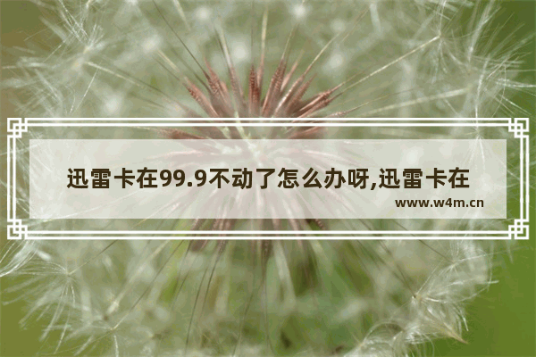 迅雷卡在99.9不动了怎么办呀,迅雷卡在98不动了