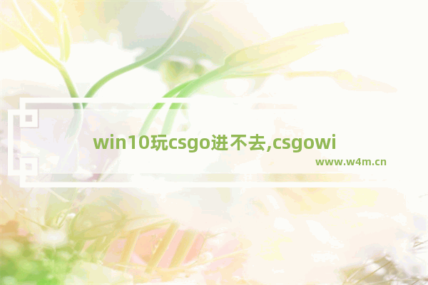 win10玩csgo进不去,csgowin10打不开