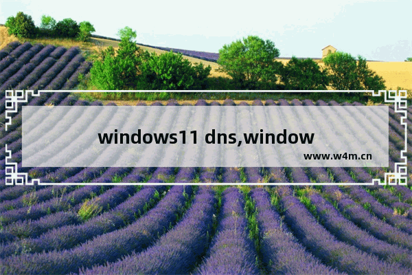 windows11 dns,windows10 dns配置错误