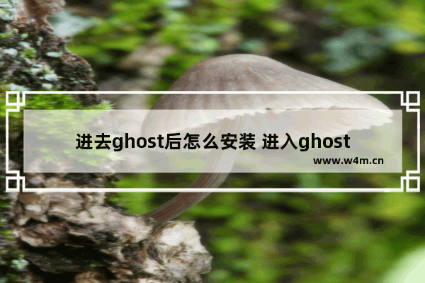 进去ghost后怎么安装 进入ghost模式后应如何进行安装