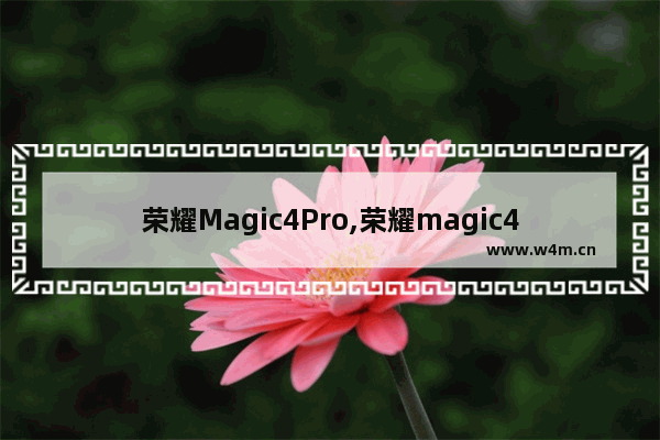 荣耀Magic4Pro,荣耀magic4pro上市时间