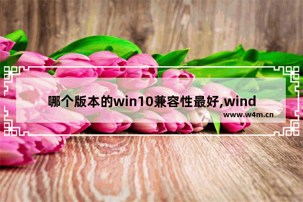 哪个版本的win10兼容性最好,windows10哪个版本兼容性好