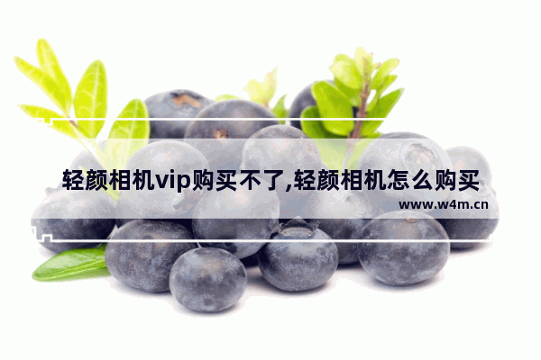 轻颜相机vip购买不了,轻颜相机怎么购买VIP