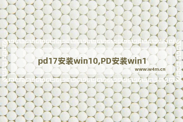 pd17安装win10,PD安装win11