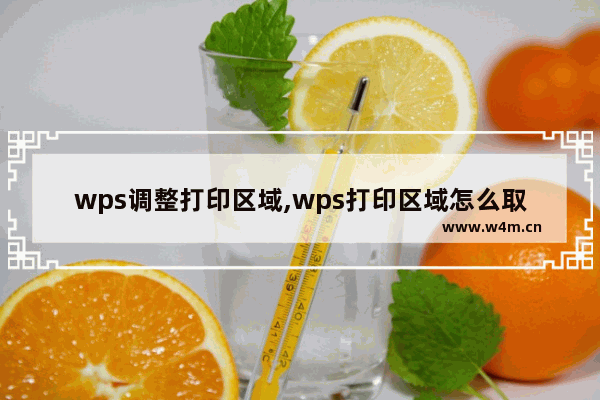 wps调整打印区域,wps打印区域怎么取消