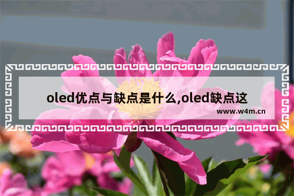 oled优点与缺点是什么,oled缺点这么多为什么还要用