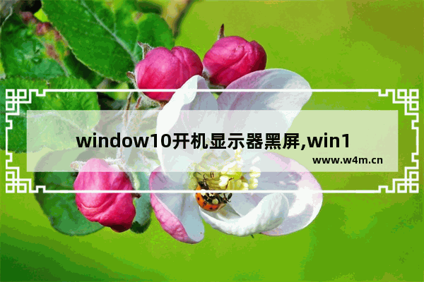 window10开机显示器黑屏,win10电脑开机后黑屏怎么回事