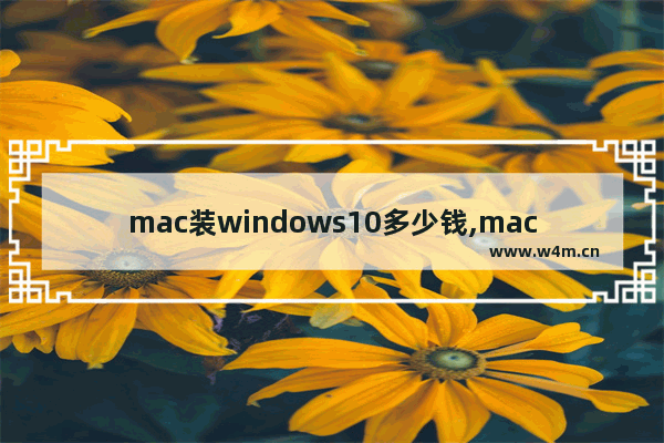 mac装windows10多少钱,mac装windows多少钱