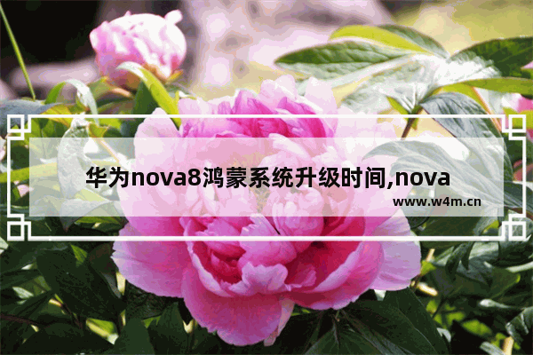 华为nova8鸿蒙系统升级时间,nova7鸿蒙系统升级时间