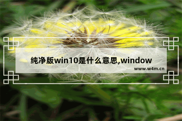 纯净版win10是什么意思,windows10纯净版什么意思