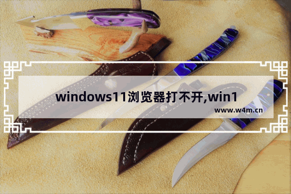 windows11浏览器打不开,win11搜索用不了