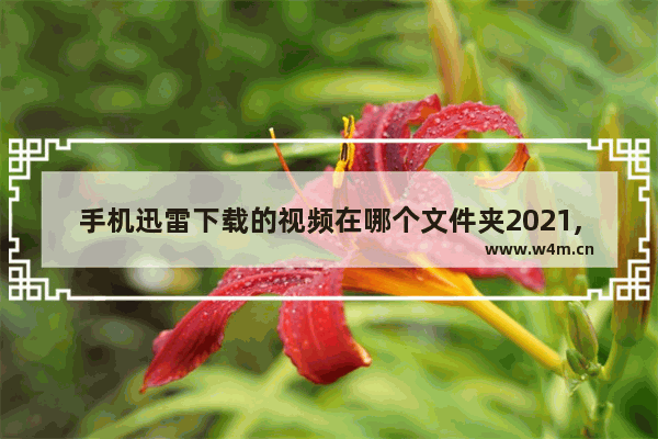 手机迅雷下载的视频在哪个文件夹2021,手机迅雷下载的视频在哪个文件夹iphone